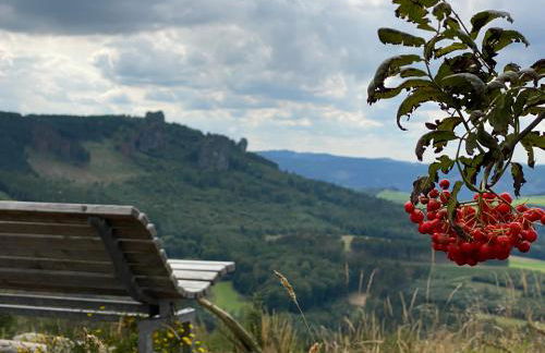 Waldläufer Brilon - Foto 40