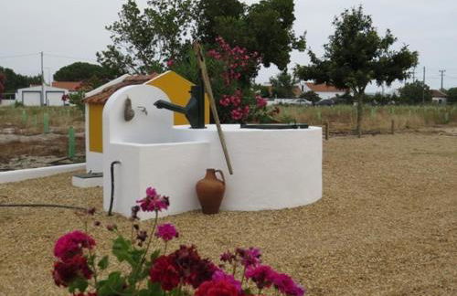 Monte do Brejinho de Água - Foto 55