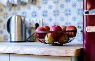 Chata Buena Vista - Photo 16