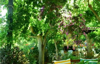 Sparto Village - Photo 11