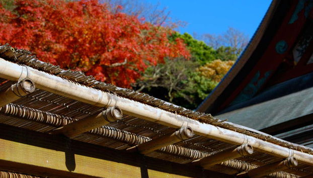 Excursión privada a Kamakura y Enoshima - Foto 3