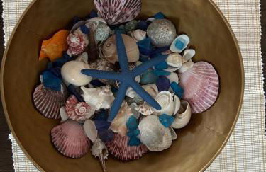 Blue Beach Pool House - Foto 14