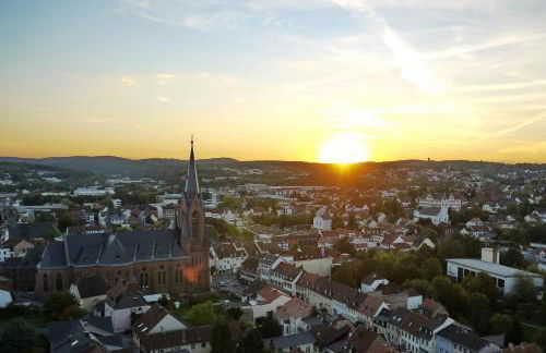 Hennen-Nest - Foto 19