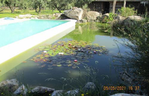 Monte das Mariolas - Foto 16