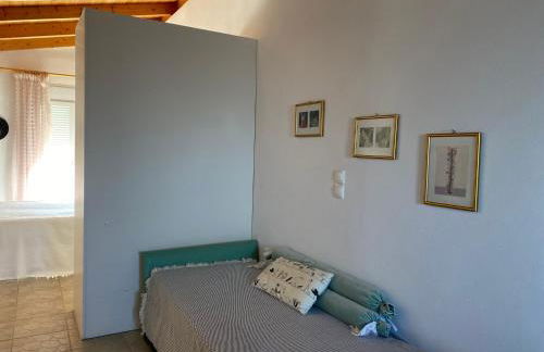 FORESTEVA Studios - Photo 35