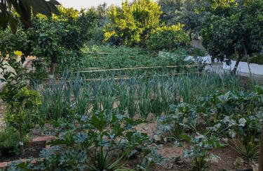 Casas de Juromenha - Foto 44