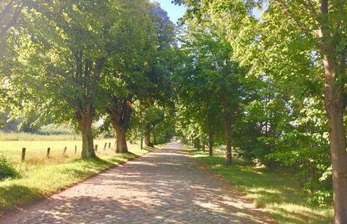 Dat-Klinkerhus - Foto 46