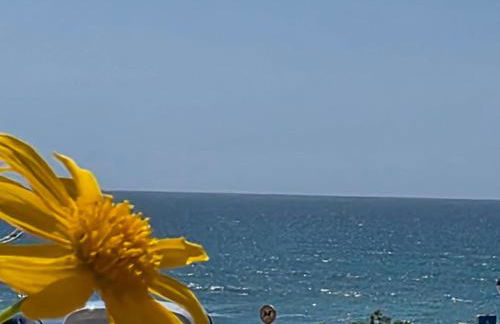 Alojamento da Praia da Areia Branca - Foto 1