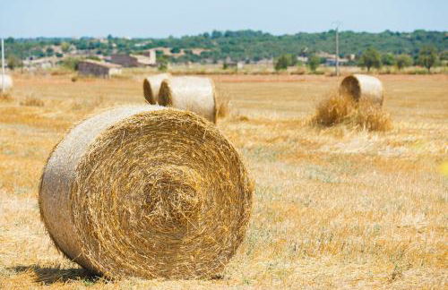 128 Finca Son Rossinyol ETV10657 by Mallorca Charme - Foto 35