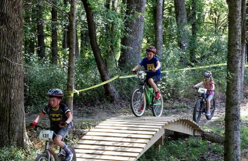 Incredible A-frame with Fabulous Panoramic Views and Hot-tub in Makanda, Illinois - Foto 14