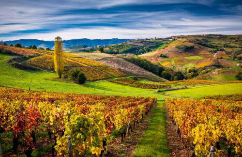 T2 cosy Villefranche proche centre-ville et autoroute - Foto 27