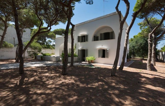 Masseria Villa - Foto 72