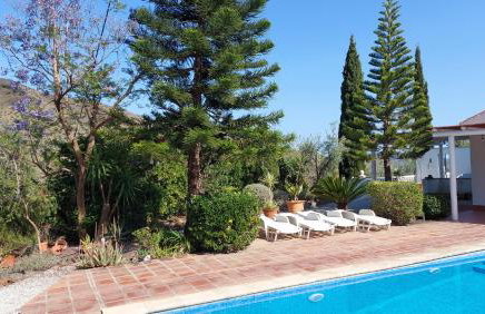 Finca Mulo Arriba - Foto 26