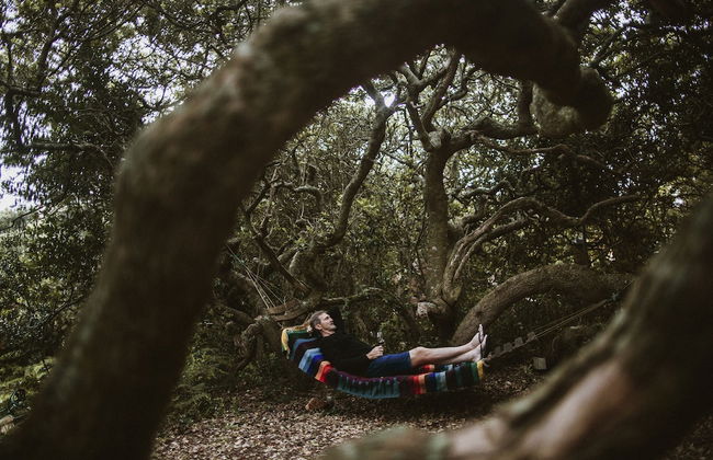 Kennedy's Beach Villa - Photo 70