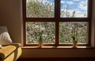 ökologisch Wohnen im Grünen - Foto 15