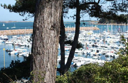 Résidence Les Roches Blanches - Foto 15