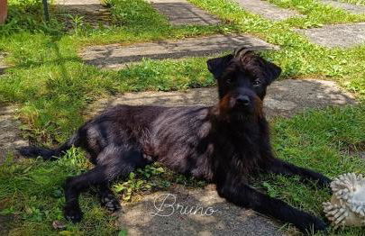 Agriturismo L'Essiccatoio - Foto 20