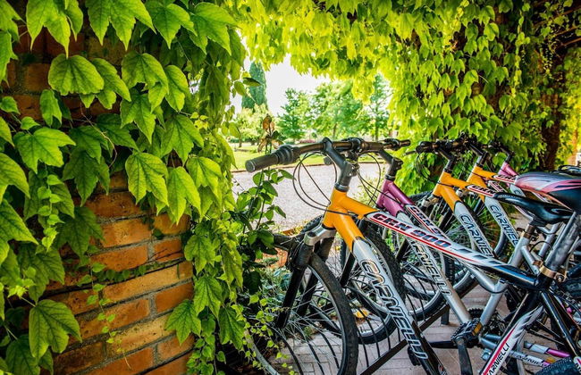 Tenuta Regina Agriturismo e Glamping - Foto 13