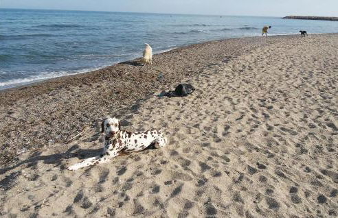 Awesome Home In Miami Playa With Wifi - Foto 31