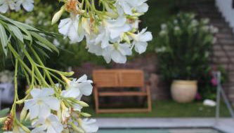 Villa Falkner - Foto 3