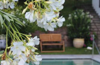 Villa Falkner - Foto 3