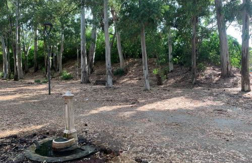 Arina Home -Airport Catania Fontanarossa- - Foto 20