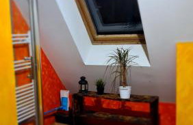 Miętowy Anioł - Foto 11