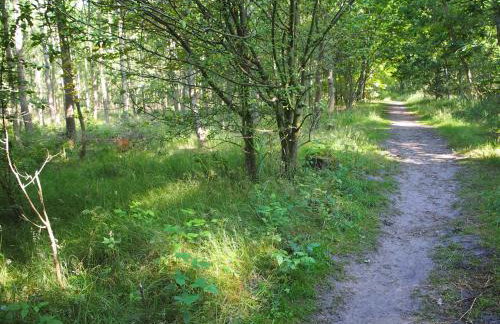 Komfortowy Domek Natura, w pobliżu Nadmorskiego Parku Krajobrazowego, 800 m od plaży - Foto 20