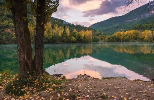 Apartamento ALMORCHÓN - Hotel Ruta del Segur - Foto 7