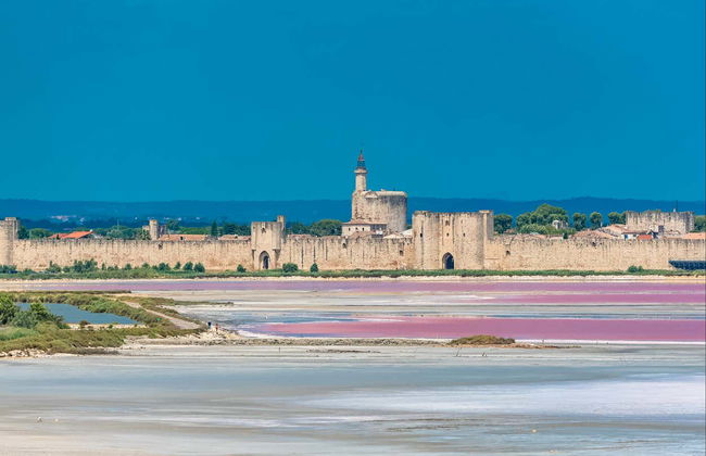 Excursion à Aigues-Mortes et à la Tour Carbonnière - Photo 1