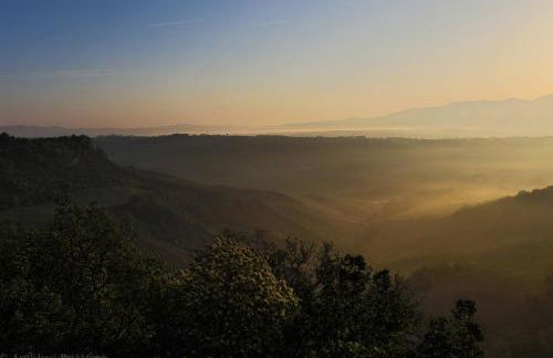 Podere Porcino - Foto 57