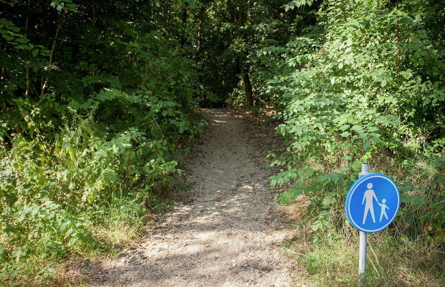 Chic Holiday Home in Noordwijkerhout near Lake - Photo 30