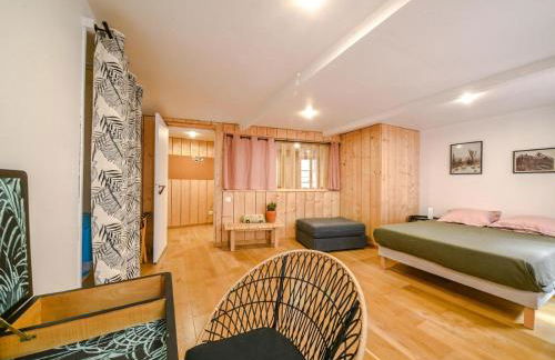 Le Flow - un cocon au cœur de Metz - Photo 16