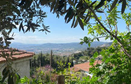 Afroditi Guest house Ano Volos - Foto 45