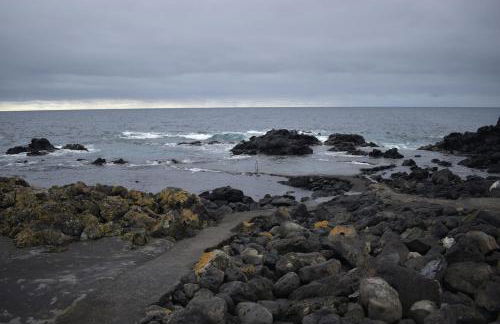 Casa Cruzeiro AL - by the sea OCEANTUR - Photo 36