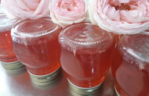 Agriturismo SanCristoforo - Foto 25