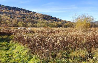 Sielanka, wyjątkowy dom, jacuzzi - Foto 55