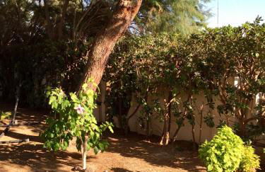 Le Due Pigne - Foto 77