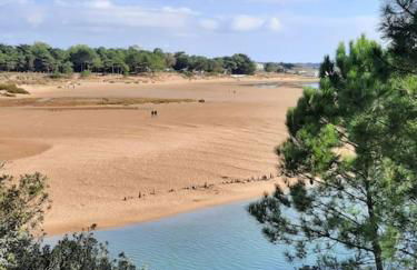 SAS Vac Appart - Photo 17