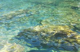 Il nido dei Gabbiani - Photo 46