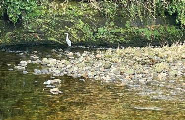 Church Barn Cottage, Kirkby Stephen, Cumbria - Photo 50