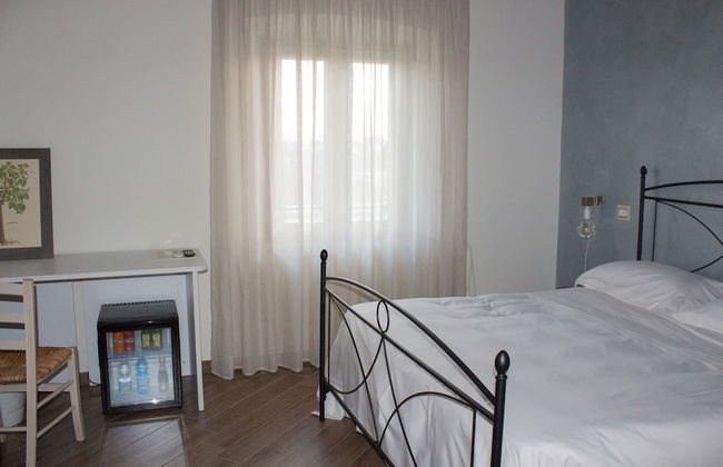 Fattoria L'Olmetto - Foto 12