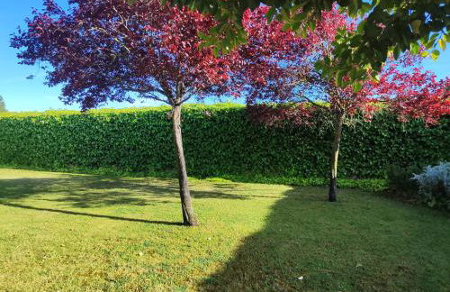 Casa Gilgar Olite - Foto 65