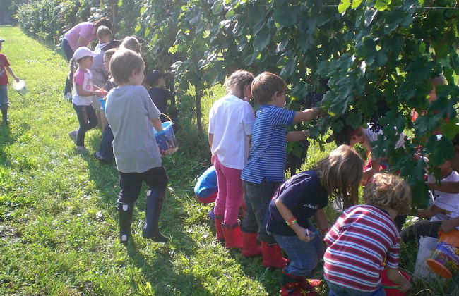 Agriturismo Colutta - Foto 9