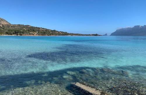 La Marina Apartment with Pool - Foto 37