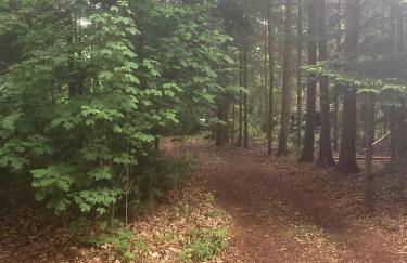 Idyllisch & ruhig - gemütliches Ferienhaus im Wald Hunde willkommen, in Hatten, nahe Oldenburg - Foto 48
