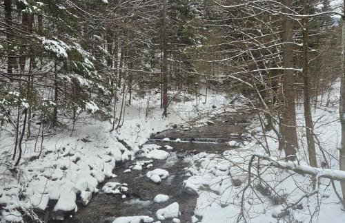 Wypoczynkowy Zakątek w Górach - Foto 6