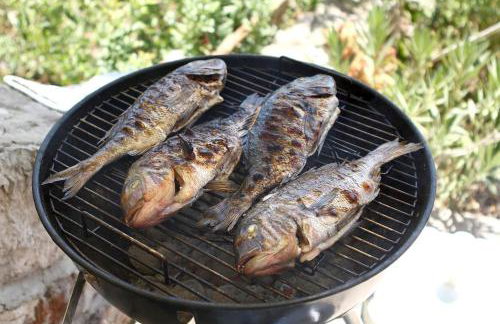 Small house at seafront - Photo 38