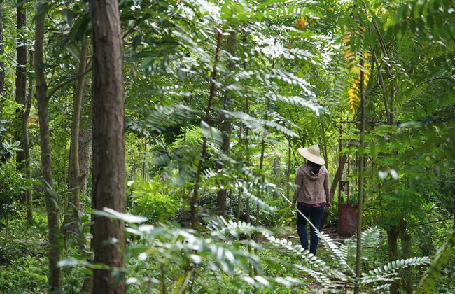 Suoi Rao Ecolodge - Foto 20