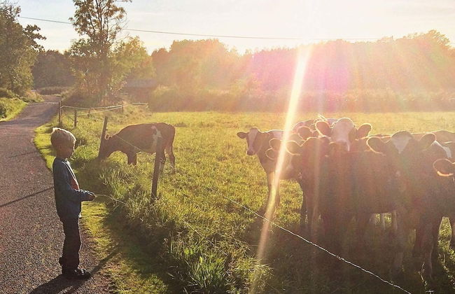 5 Person Holiday Home in Varekil - Foto 6